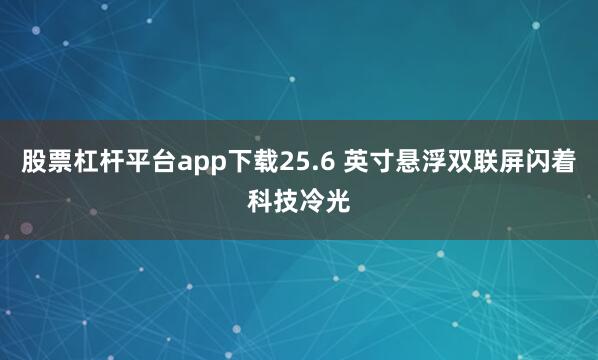 股票杠杆平台app下载25.6 英寸悬浮双联屏闪着科技冷光