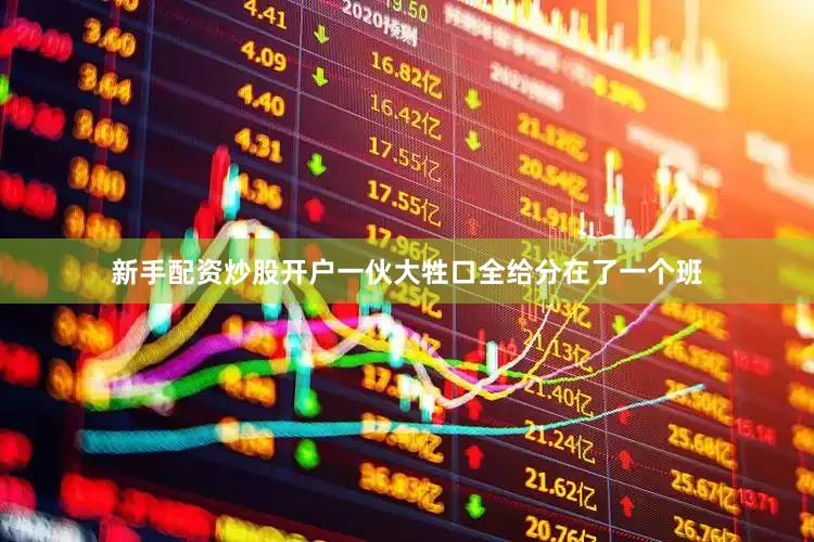 新手配资炒股开户一伙大牲口全给分在了一个班