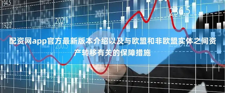 配资网app官方最新版本介绍以及与欧盟和非欧盟实体之间资产转移有关的保障措施